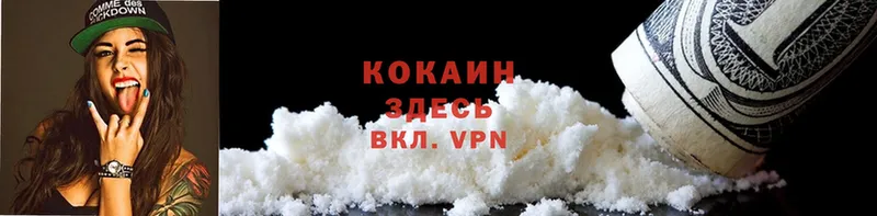 где купить   Кашира  COCAIN Fish Scale 